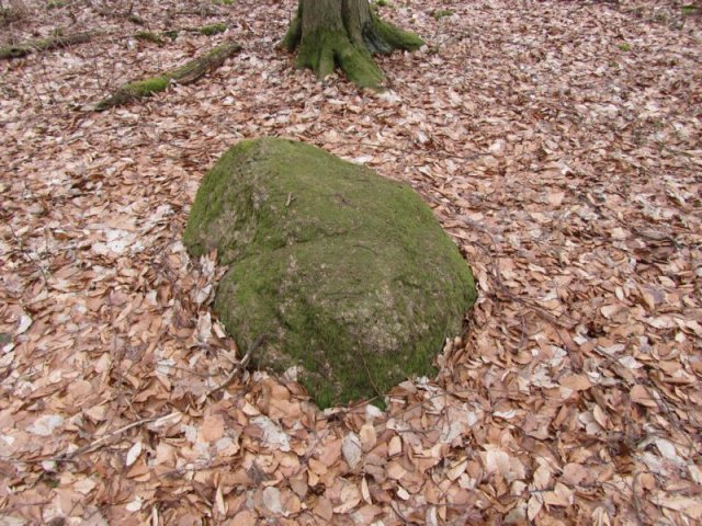 Der Gedenkstein